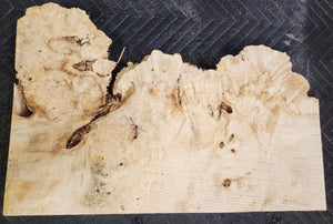 Box Elder Burl Slab
