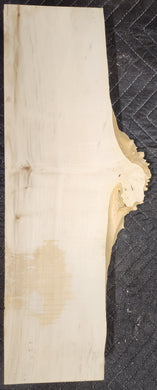 Box Elder Burl Slab