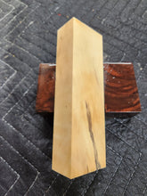Horse Chestnut Knife Scale