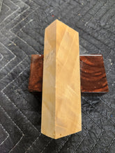 Horse Chestnut Curly Knife Scale