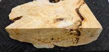Box Elder Burl cap