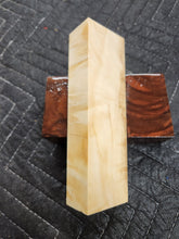 Horse Chestnut Knife Scale