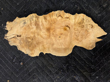 Box Elder Burl Cap