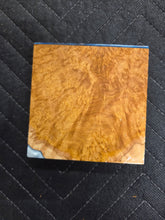 Brown Mallee Turkey Pot Hybrid