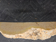 Box Elder Burl cap