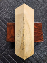 Box Elder