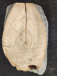 Cottonwood slab