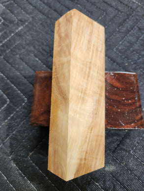 Horse Chestnut Knife Scale