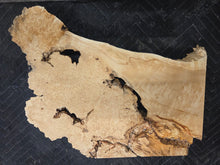 Box Elder Burl Slab
