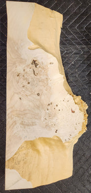 Box Elder Burl Slab