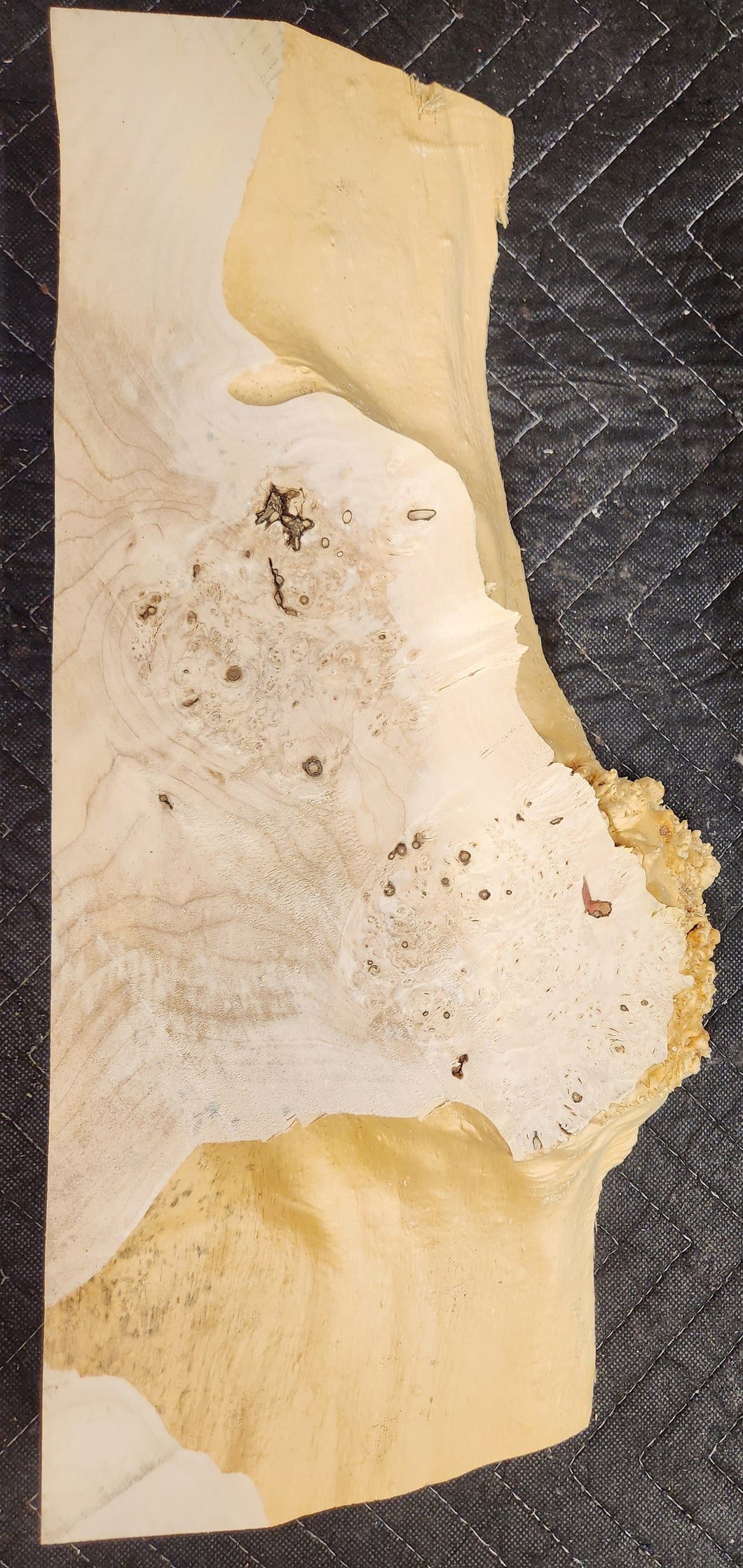 Box Elder Burl Slab