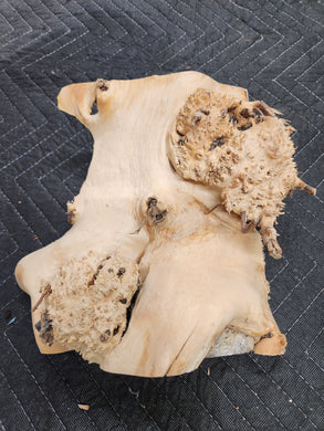 Casting Cherry burl cap
