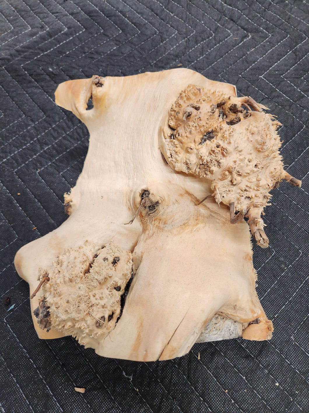 Casting Cherry burl cap