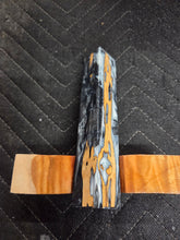 Cholla Cactus Hybrid Pen Blank