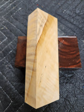 Horse Chestnut Curly Knife Scale