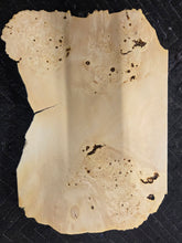 Box Elder Burl cap