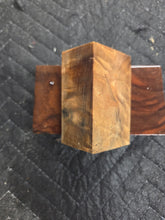 Stabilized Horse Chestnut Bottlestopper