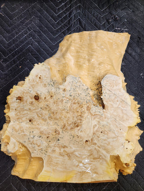 Box Elder Burl Slab