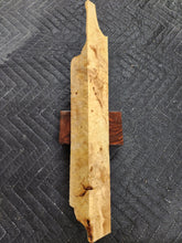 Casting Horse Chestnut