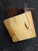 Hybrid Horse Chestnut Turkey Pot