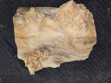 Box Elder Burl Cap
