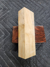 Horse Chestnut Curly Knife Scale