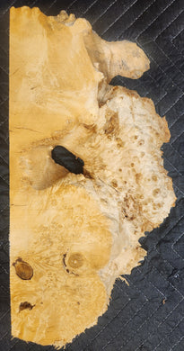 Box Elder Burl Slab
