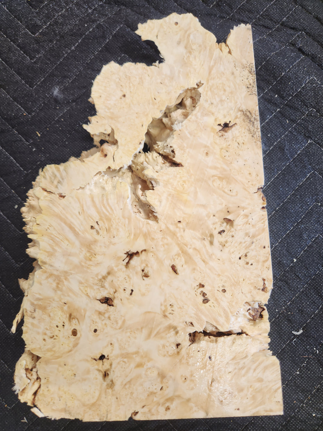 Box elder burl slab