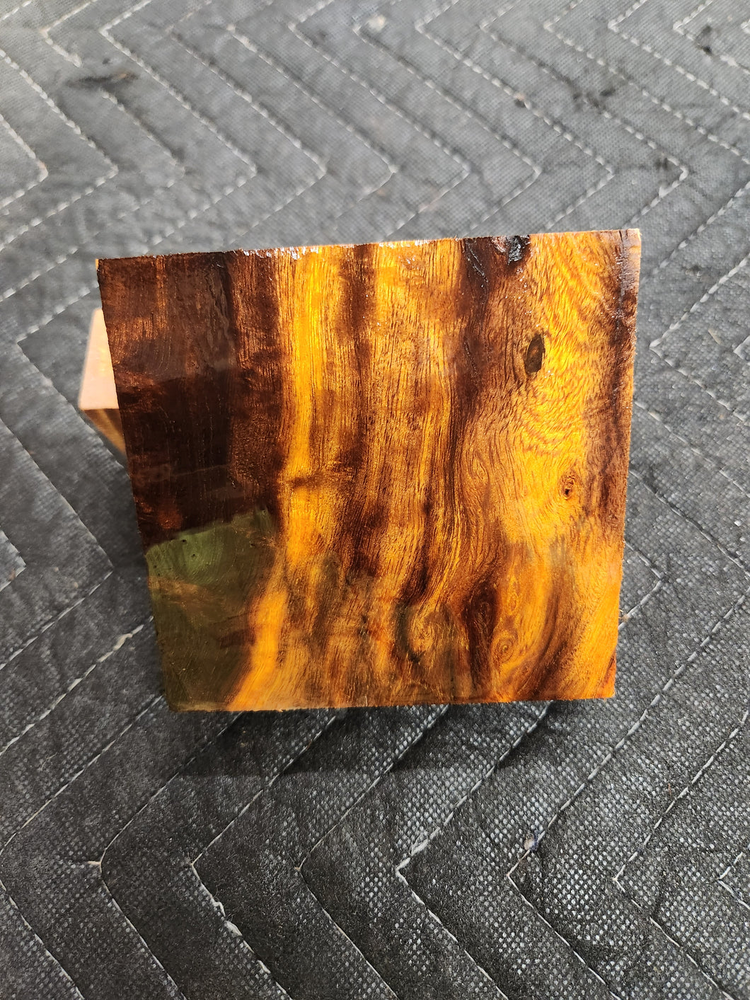 Desert Ironwood Turkey Pot