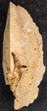 Box Elder Burl Cap