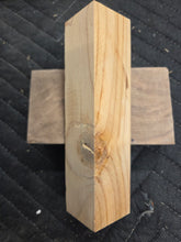 Himalayan Cedar