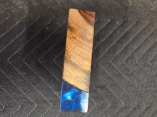 Indian Rosewood Turkey Pot Hybrid
