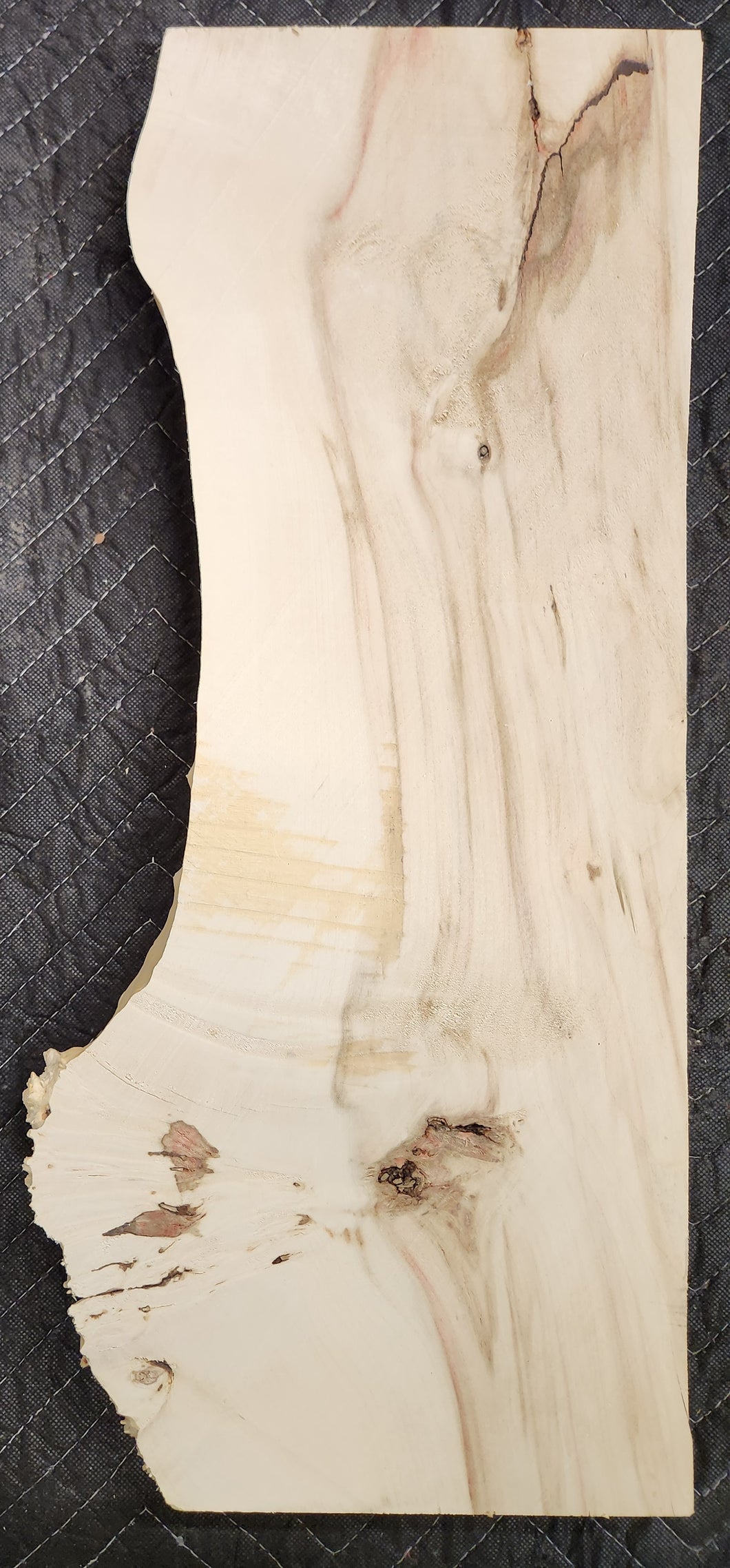 Box Elder Burl Slab