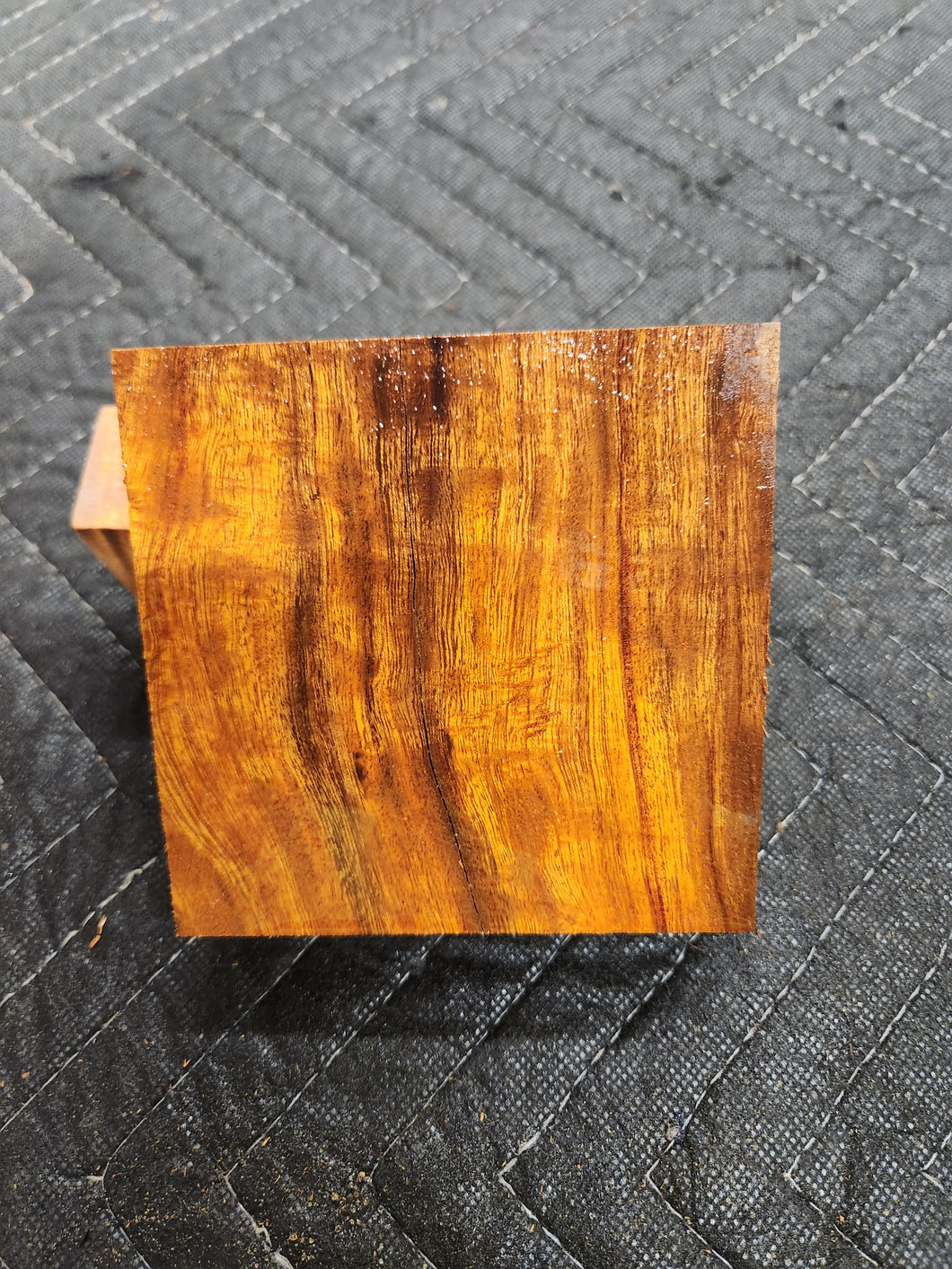 Desert Ironwood Turkey Pot