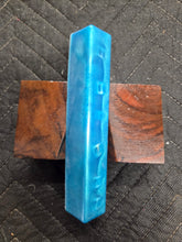 Shark Vertebrae