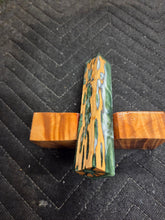 Cholla Cactus Hybrid Pen Blank