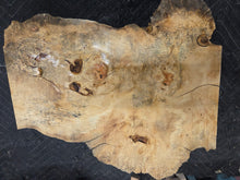 Box Elder Burl Cap
