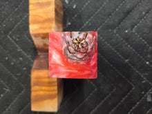 Pinecones Hybrid Bottlestopper