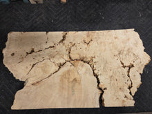 Box Elder Burl Slab