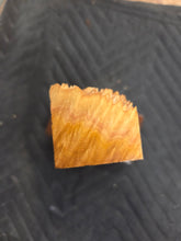 Brown Mallee