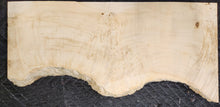 Box Elder Burl Slab