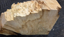 Box Elder Burl Cap