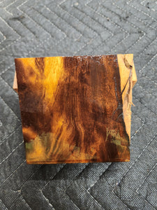 Desert Ironwood Turkey Pot