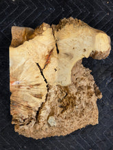 Box Elder Burl Slab