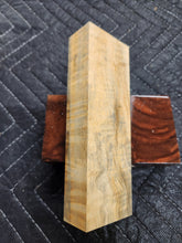 Horse Chestnut Curly Knife Scale