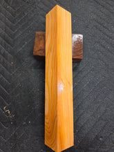 Apricot