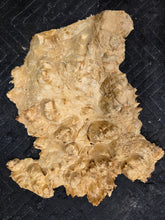 Box Elder Burl cap