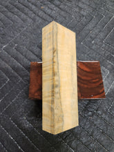 Horse Chestnut Curly Knife Scale