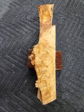 Casting Horse Chestnut