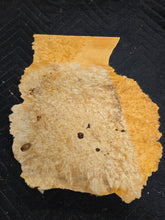Box Elder Burl Cap